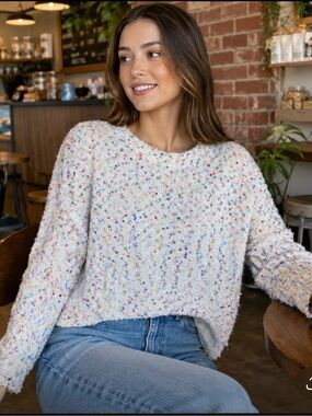 Confetti Speckled Soft Cropped Sweater Size M/L